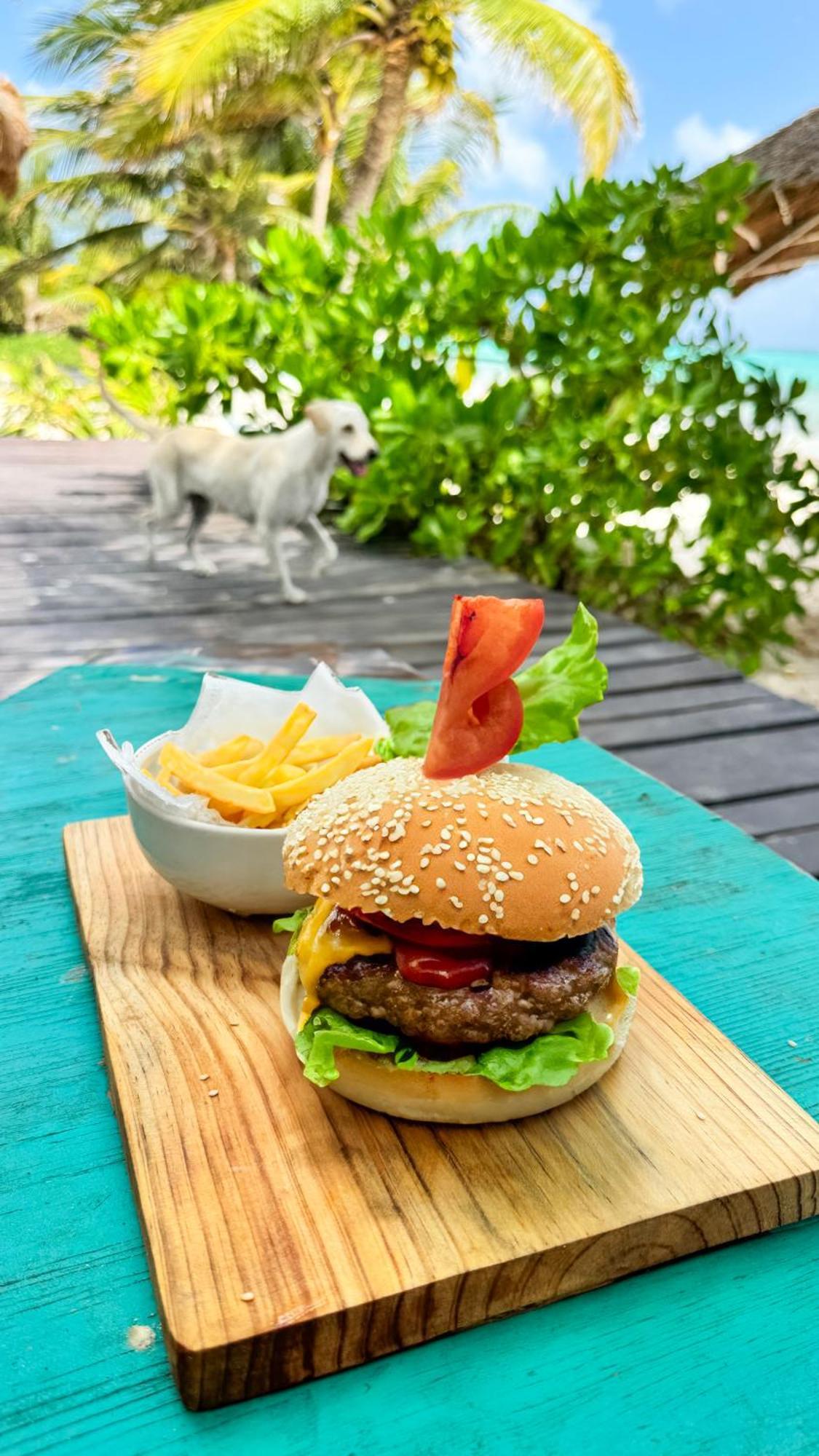 Pronoia Casa De Playa Villa Mahahual Ngoại thất bức ảnh