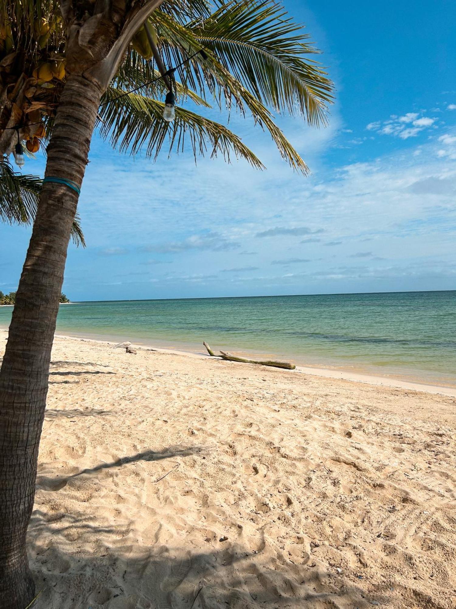 Pronoia Casa De Playa Villa Mahahual Ngoại thất bức ảnh